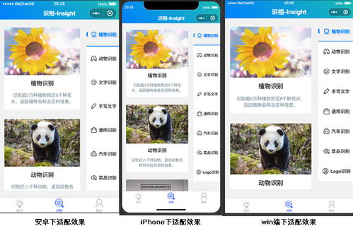 識相Insight AI圖像識別微信小程序產(chǎn)品文檔